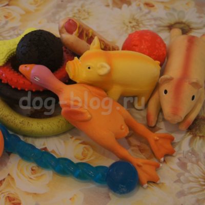 Первые покупки для щенка: игрушки для собак