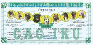 Сертификаты Чаки Блэк Белогорье