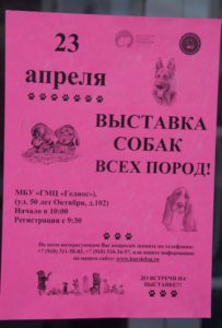 Выставка собак Курск 2016