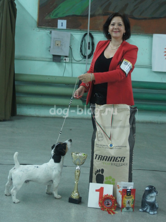 Чаки Блэк Белогорье - Лучшая Собака Выставки в Минске