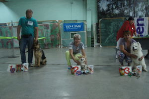 Выставка собак в Минске