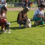 выставка собак в Польше