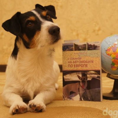Книга И.Замлелова "С Собакой на автомобиле по Европе"