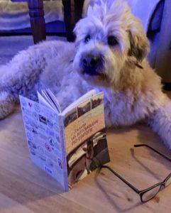 книга Игоря Замлелов "С собакой на автомобиле по Европе"