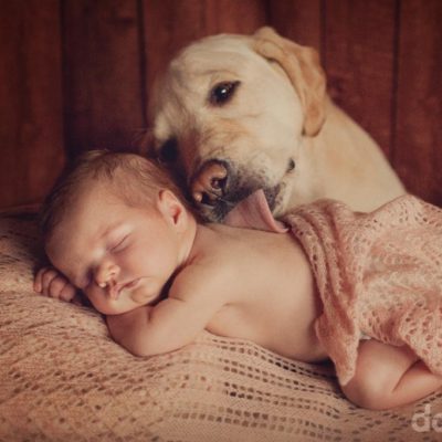 собака и новорожденный