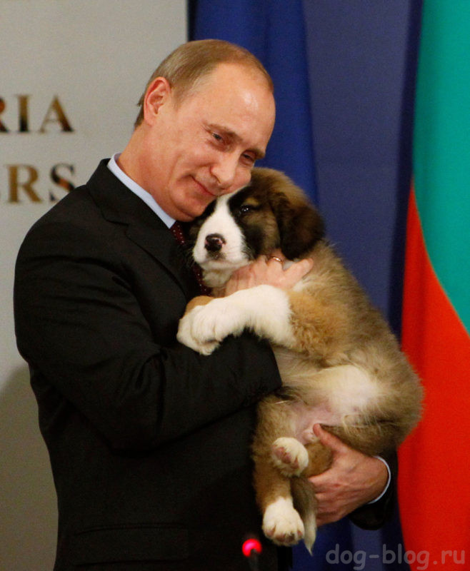 собака Путина