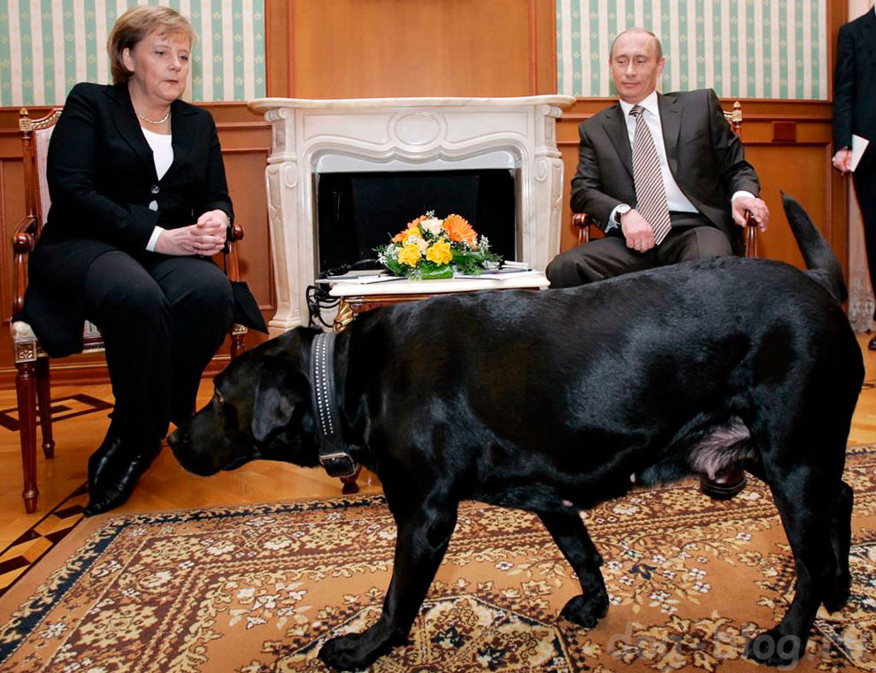 собака Путина порода