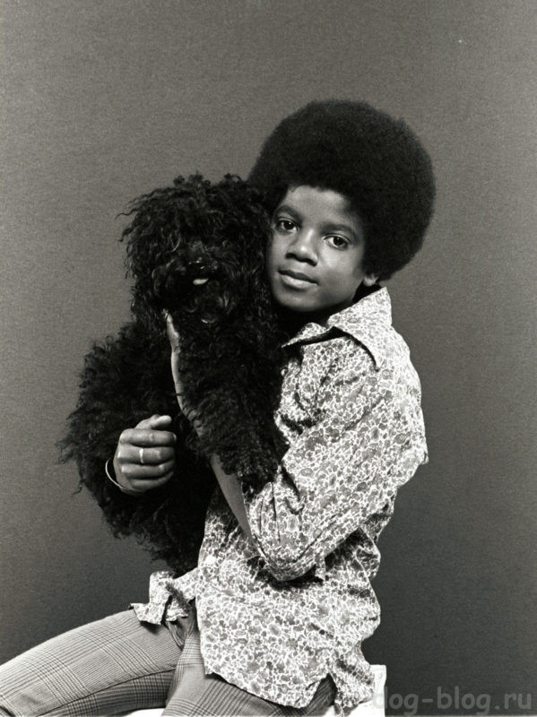 Майкл Джексон с собакой